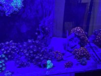 IMG_5782.jpeg