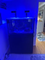 IMG_6479.jpeg