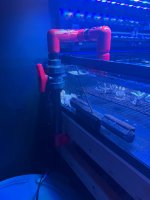 IMG_1183.jpeg