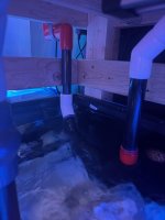 IMG_1184.jpeg
