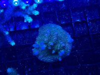 IMG_1134.jpeg