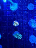 IMG_1131.jpeg