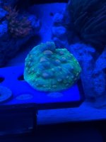 IMG_1090.jpeg
