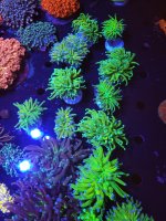 20260806_160158.jpg