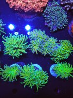 20260806_160208.jpg