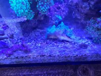 20260809_120519.jpg