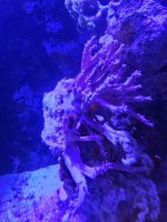 20260809_193101.jpg
