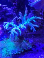 20260809_193046.jpg