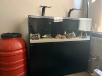 IMG_0884.jpeg