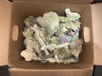 IMG_2751.jpeg