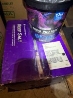 IMG_2752.jpeg