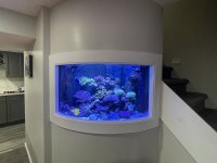 IMG_9473.jpeg