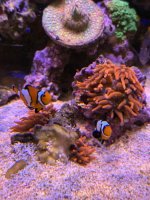 IMG_6580.jpeg