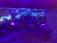 IMG_1400.jpg
