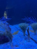 IMG_5866.jpeg