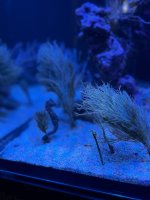 IMG_5871.jpeg
