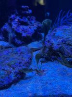 IMG_5869.jpeg