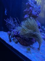 IMG_5867.jpeg