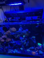 IMG_7928.jpeg