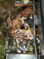 IMG_8564.jpeg