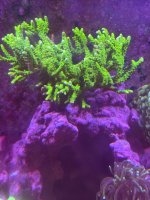 IMG_0821.jpeg