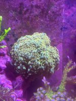 IMG_0820.jpeg