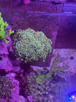 IMG_0819.jpeg