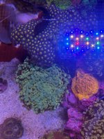 IMG_0818.jpeg