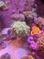 IMG_0816.jpeg