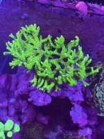 IMG_0815.jpeg