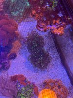 IMG_0814.jpeg