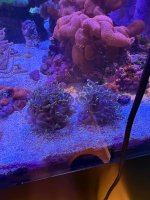 IMG_0812.jpeg