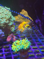 IMG_1464.jpeg