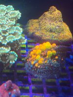 IMG_1364.jpeg