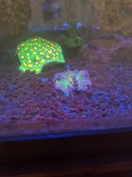 IMG_4544.jpeg