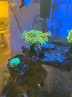 IMG_4539.jpeg