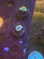 IMG_4537.jpeg