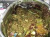 20070627 028.jpg