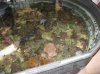 20070627 034.jpg