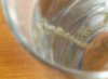 Wiggle Worm 003.jpg