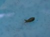 2003_0417slug0006 (Custom).JPG
