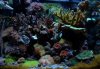 fts_010109.JPG