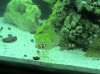 DSC00048.jpg