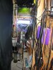 fish room.jpg