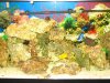 IMG_1431.jpg