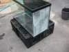 29 gal tank1.jpg