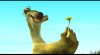 The Last Dandelion.jpg