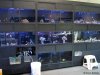 coralreefaquarium-3.jpg