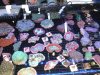 DSCF6077.jpg