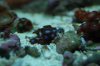 DSC_0645.jpg